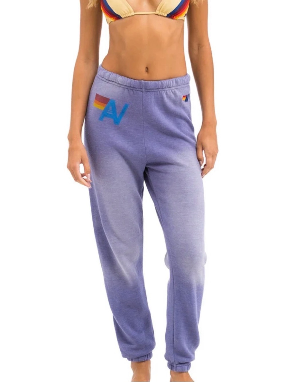Aviator Nation Vintage Logo Sweatpants - Faded Grape